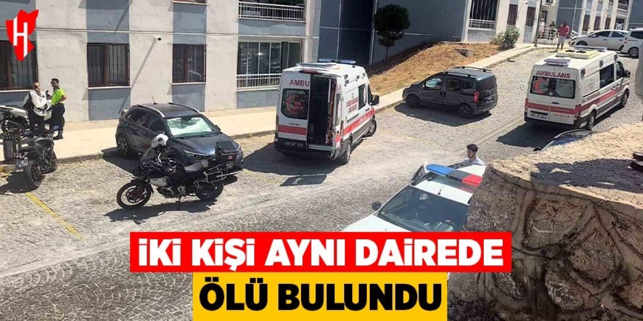 İki kişi aynı dairede ölü bulundu
