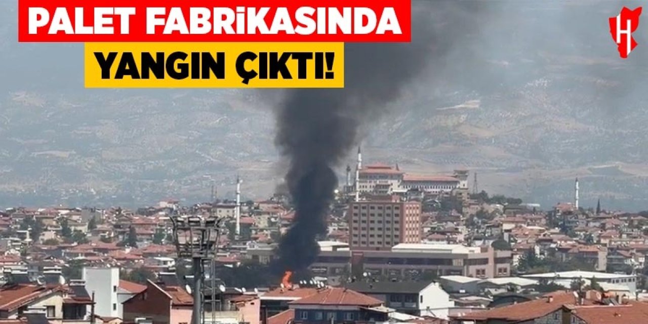 Palet fabrikasında yangın çıktı