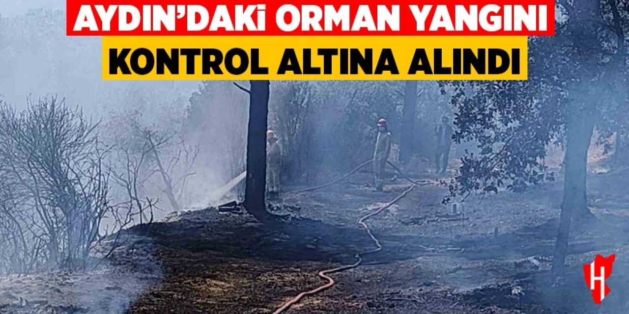 Aydın'daki orman yangını kontrol altına alındı