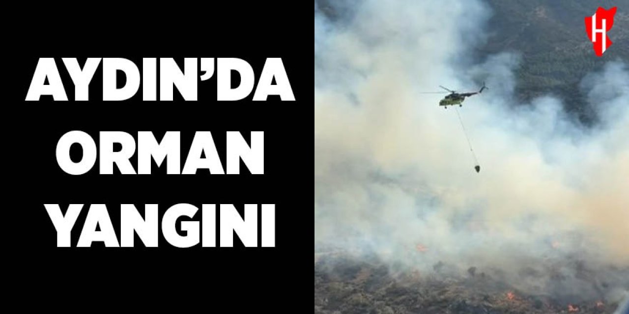 Aydın'da orman yangını