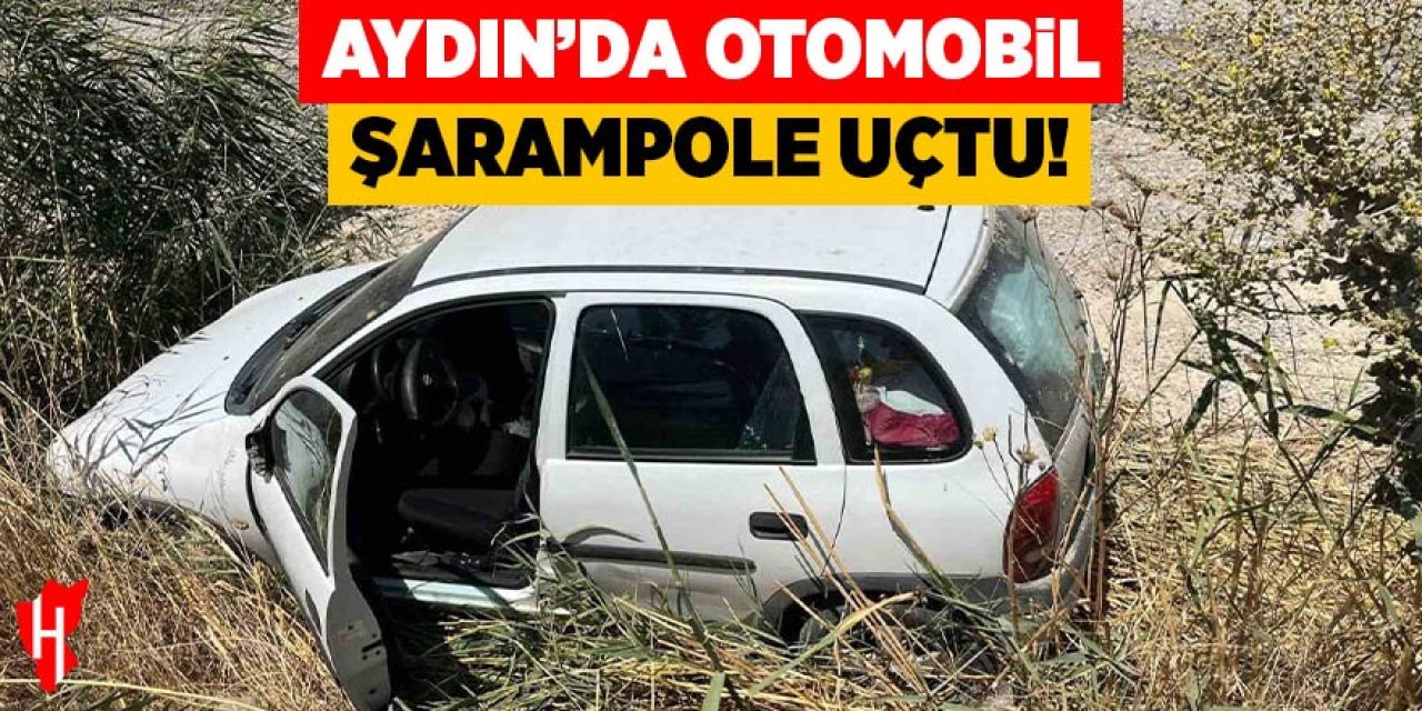 Aydın'da otomobil şarampole uçtu