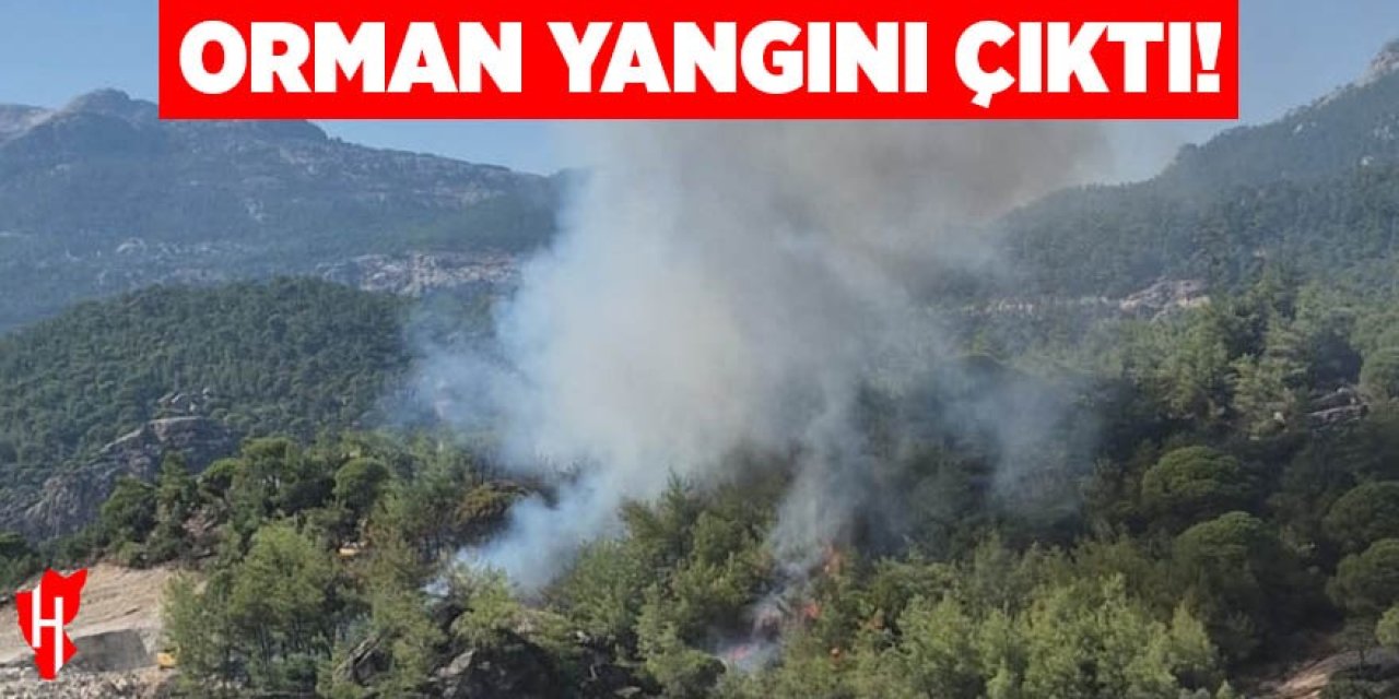 Orman yangını çıktı