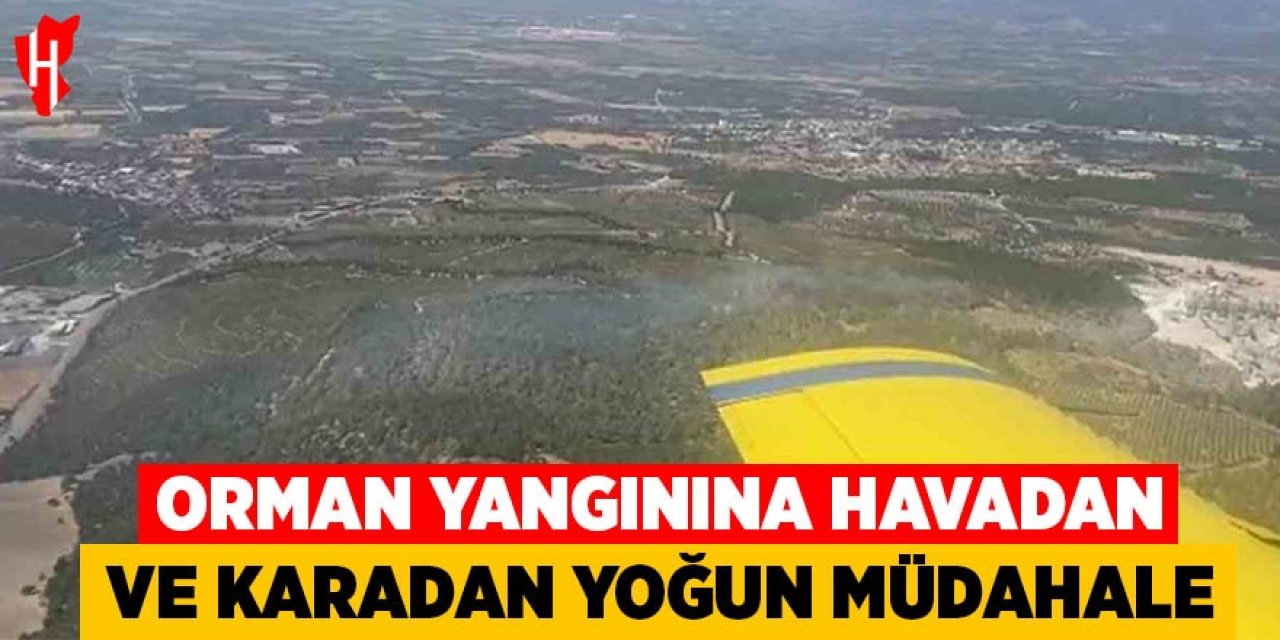 Orman yangınına havadan ve karadan yoğun müdahale