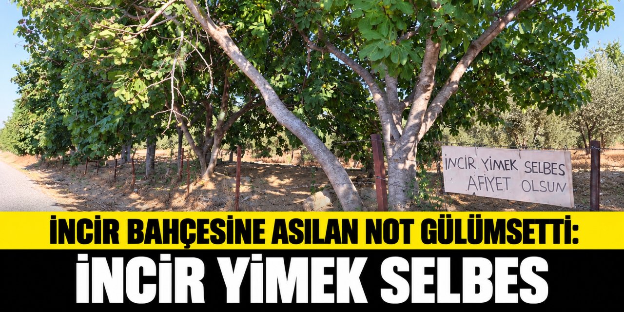 İncir bahçesine asılan not yüzleri gülümsetti: İncir yimek selbes