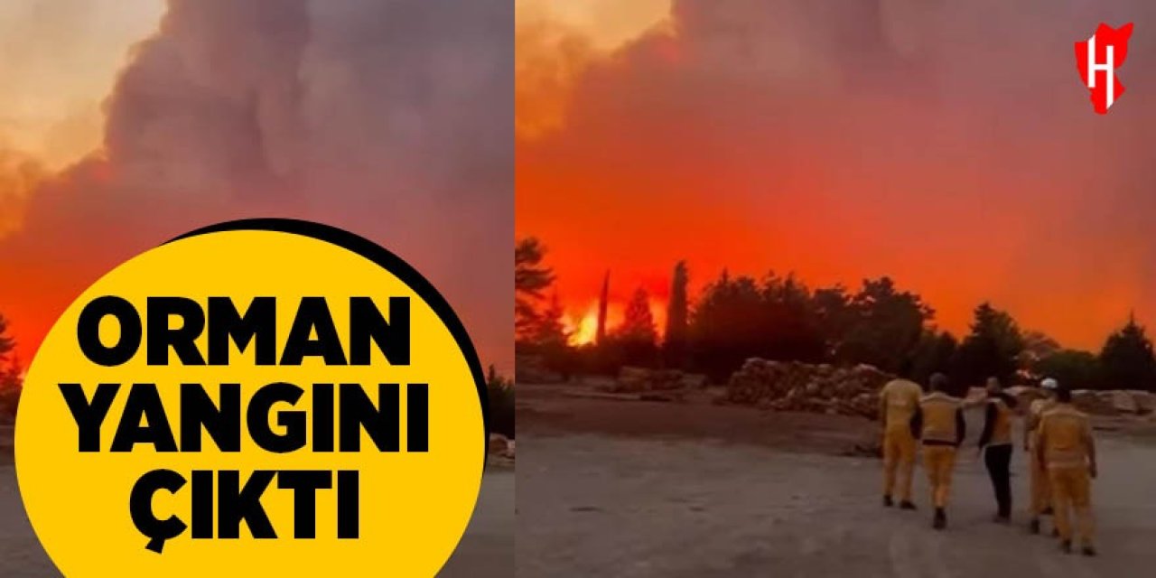 Orman yangını çıktı