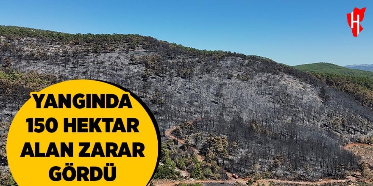 Yangında 150 hektar zarar gördü