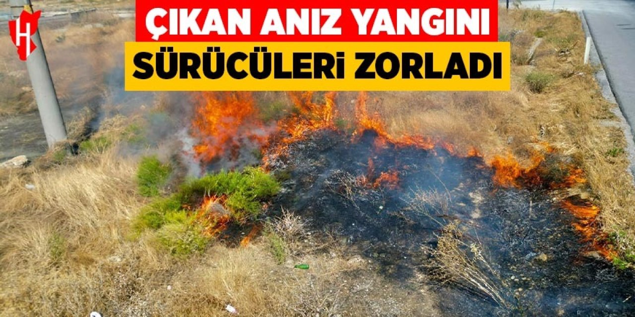 Çıkan anız yangını sürücüleri zorladı
