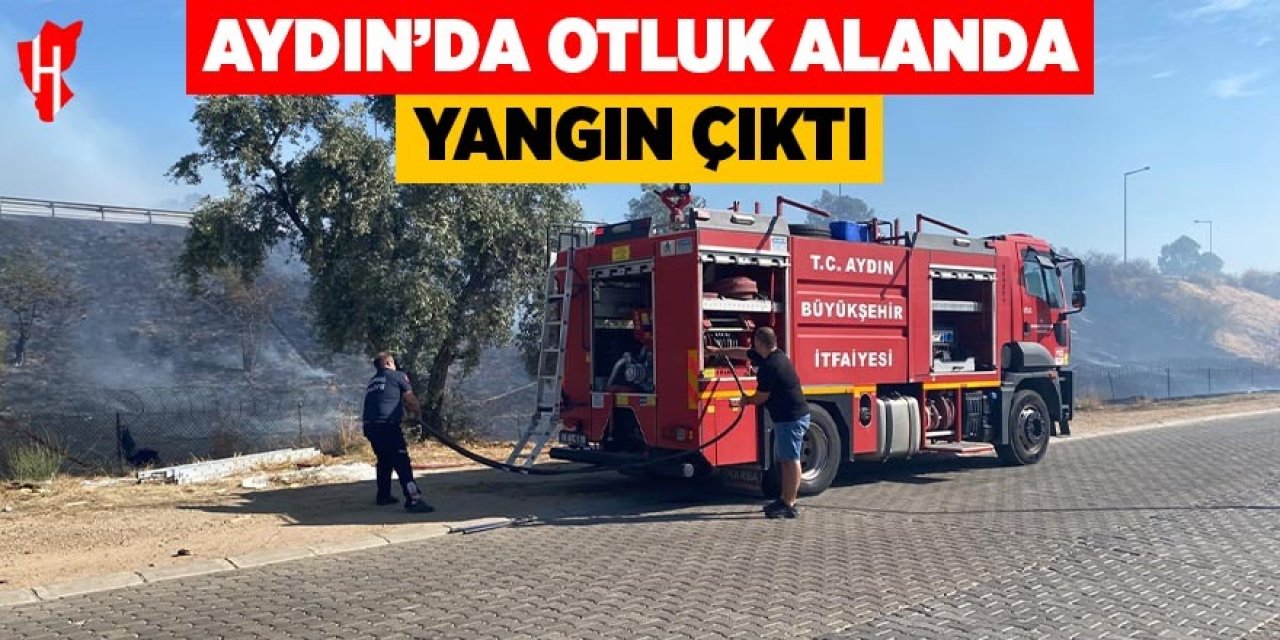 Aydın'da otluk alanda yangın çıktı