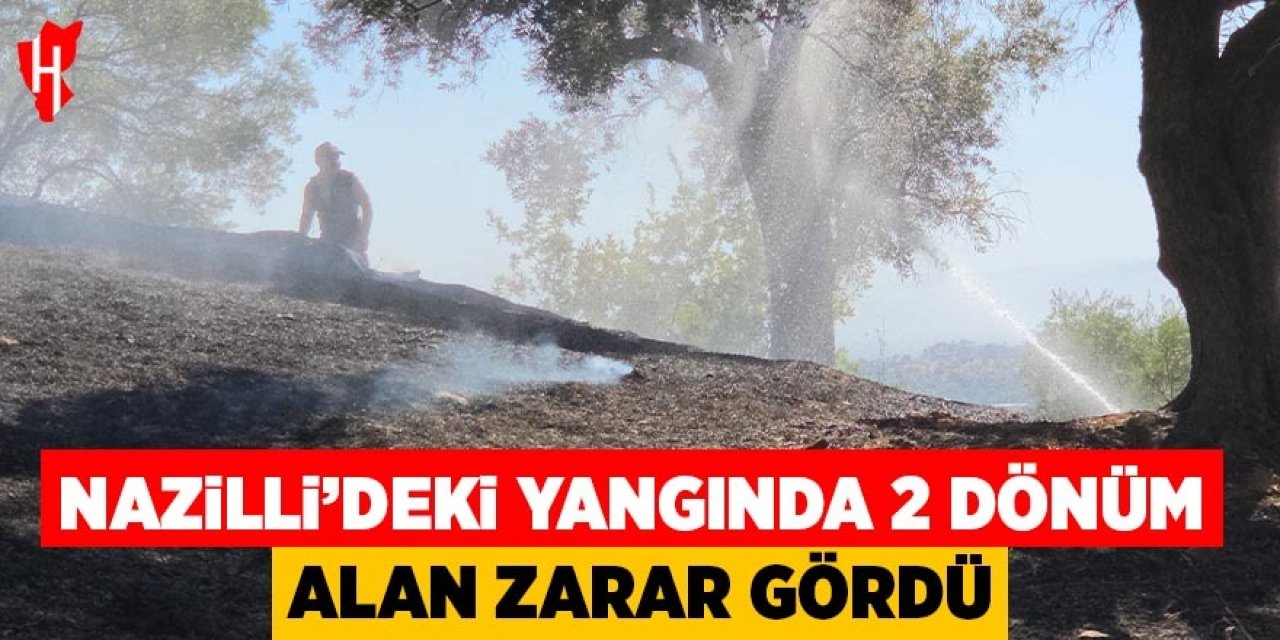 Nazilli’deki yangında 2 dönüm zeytinlik zarar gördü