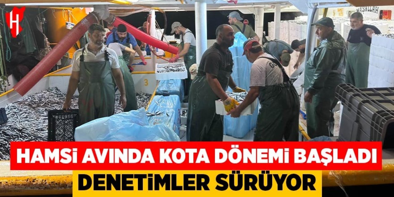 Hamsi avında kota dönemi başladı: Denetimler sürüyor