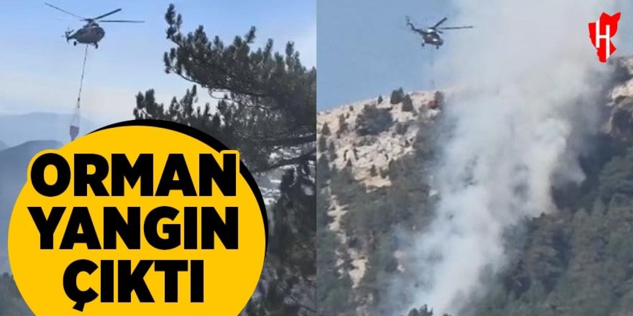 Orman yangını çıktı