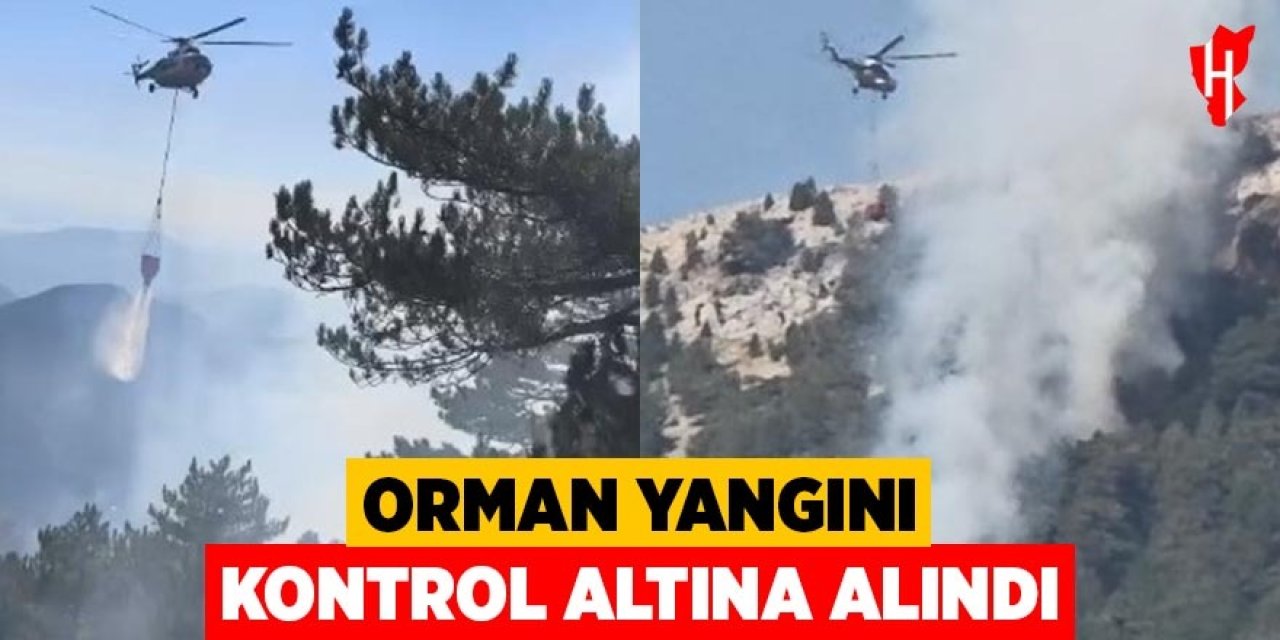 Orman yangını kontrol altına alındı