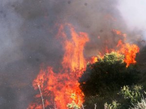 Aydın, En Fazla Yangın Çıkan 14’üncü İl Oldu