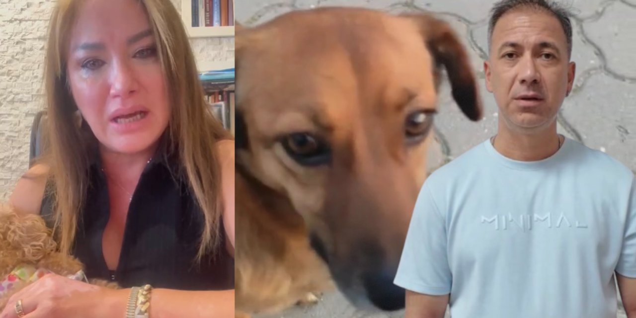 Nazilli'de uyuşturucu iğneyle müdahale edilen çipli köpek hayatını kaybetti