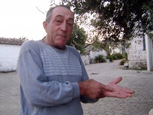 Yaban Domuzları Zeytinliklere Zarar Veriyor