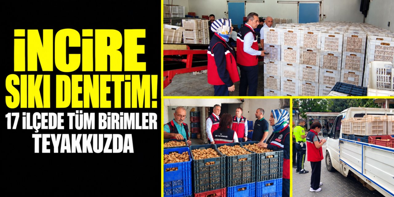 İncire 17 ilçede sıkı denetim!