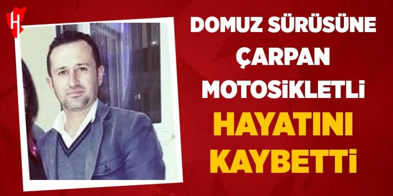 Domuz sürüsüne çarpan motosiklet sürücü hayatını kaybetti