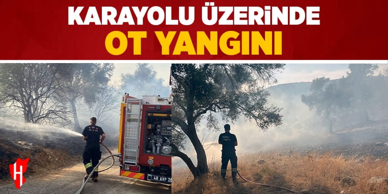 Karayolu üzerinde ot yangını