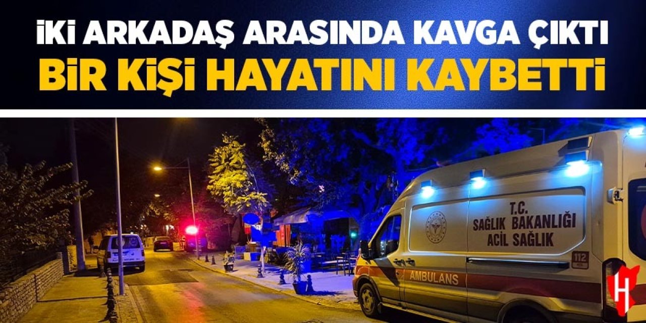 İki arkadaş arasında kavga çıktı: 1 ölü