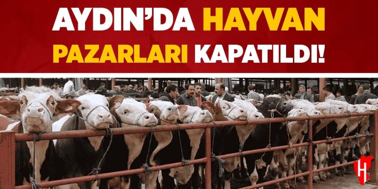 Aydın'da hayvan pazarları kapatıldı