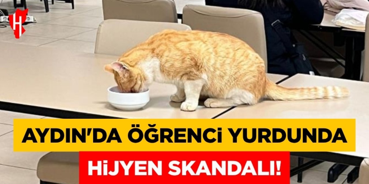 Aydın'da öğrenci yurdunda Hijyen skandalı