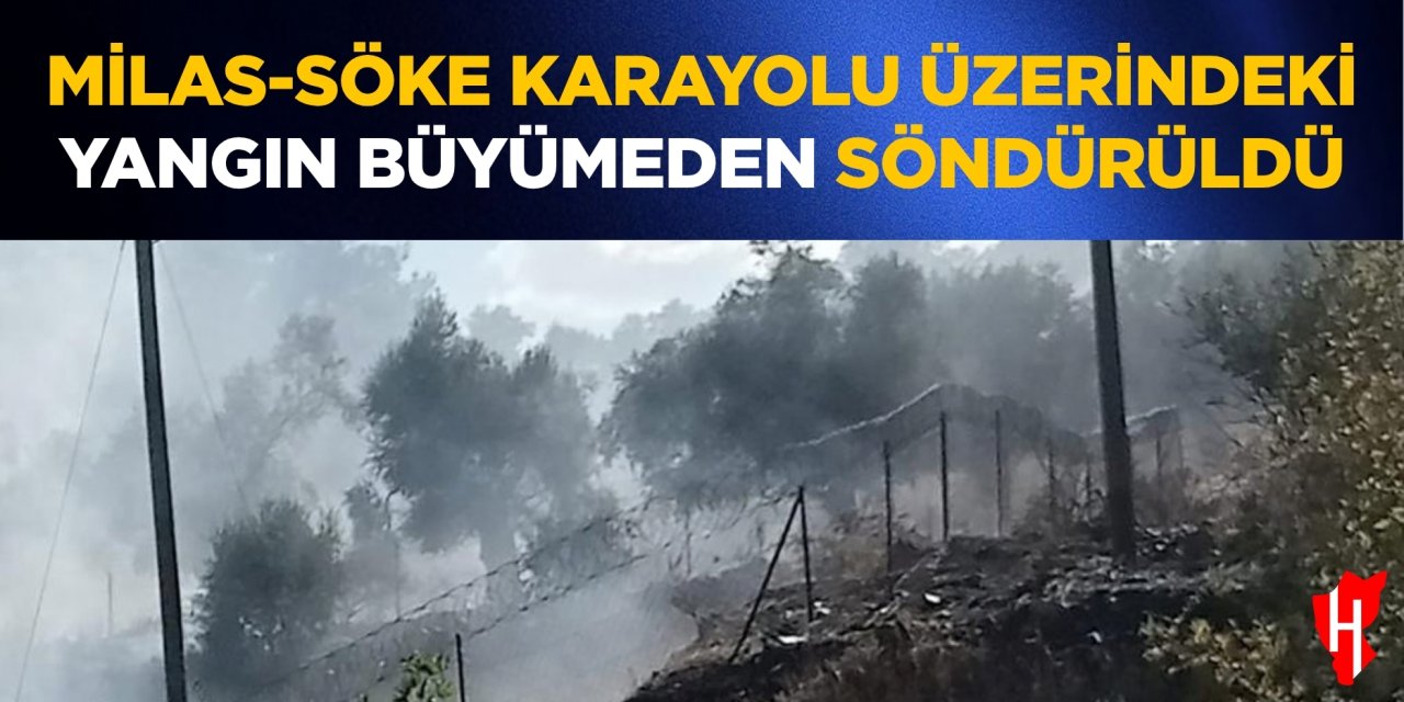Milas-Söke karayolu üzerindeki yangın büyümeden söndürüldü