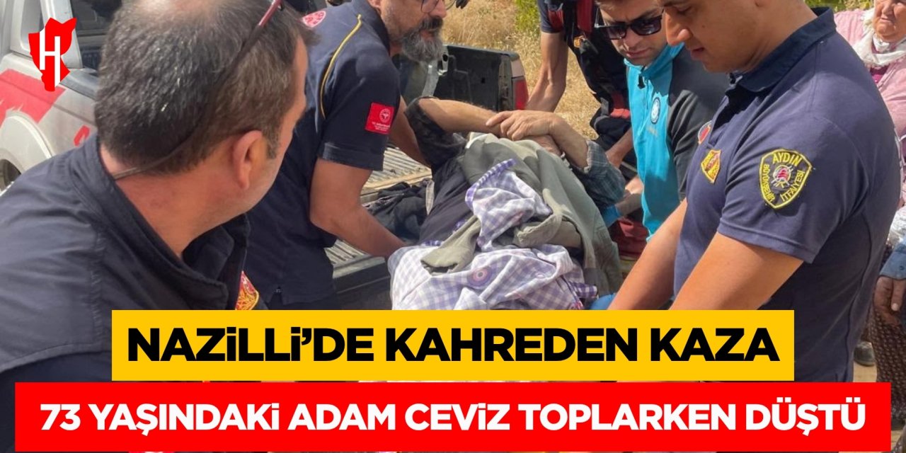 73 yaşındaki adam ceviz toplarken düştü