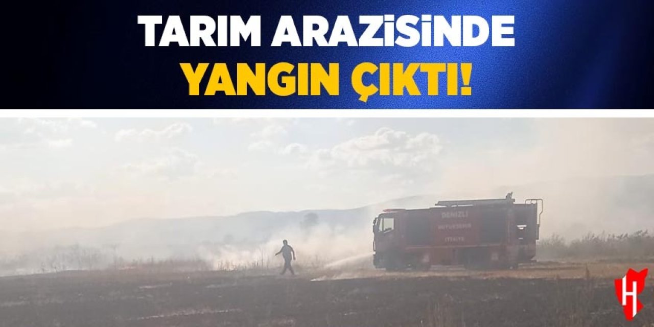 Tarım arazisinde yangın çıktı