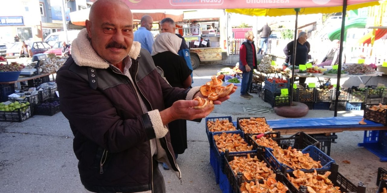 Artan mantar zehirlenmeleriyle ilgili uzmanından önemli uyarılar