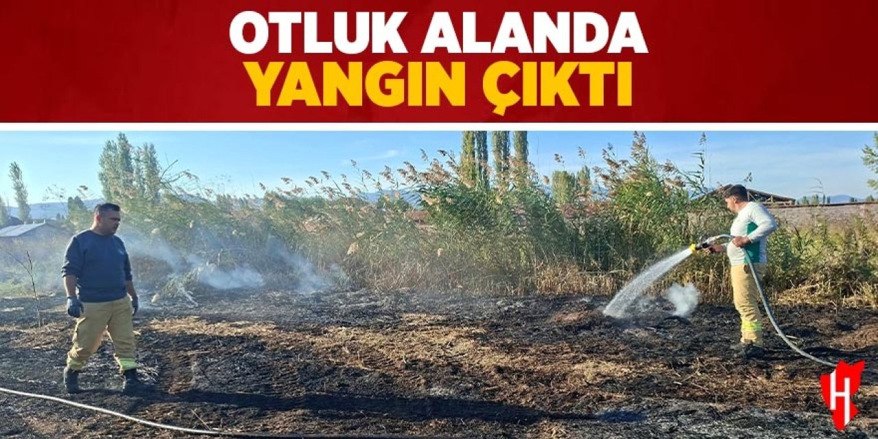 Otluk alanda yangın