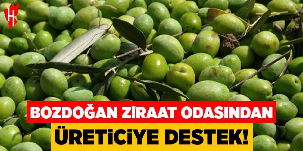 Bozdoğan Ziraat Odası'ndan üreticiye destek