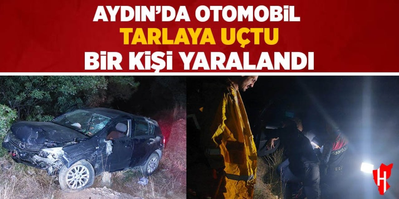 Aydın'da otomobil tarlaya uçtu
