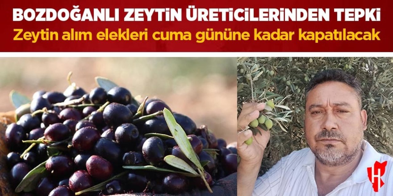 Bozdoğan'da zeytin alım elekleri cuma gününe kadar kapatılacak
