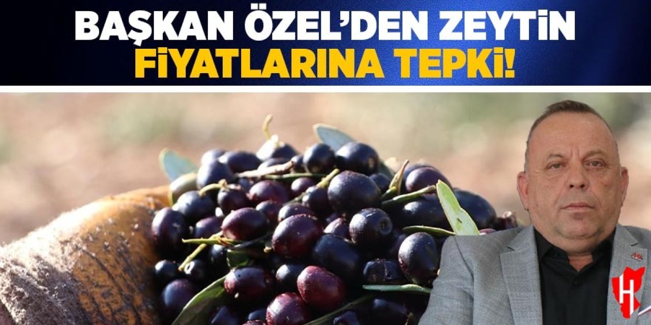 Başkan Galip Özel’den zeytin fiyatlarına tepki:  “Çiftçinin bir yıllık emeği bir bardak çay parasına satılamaz”