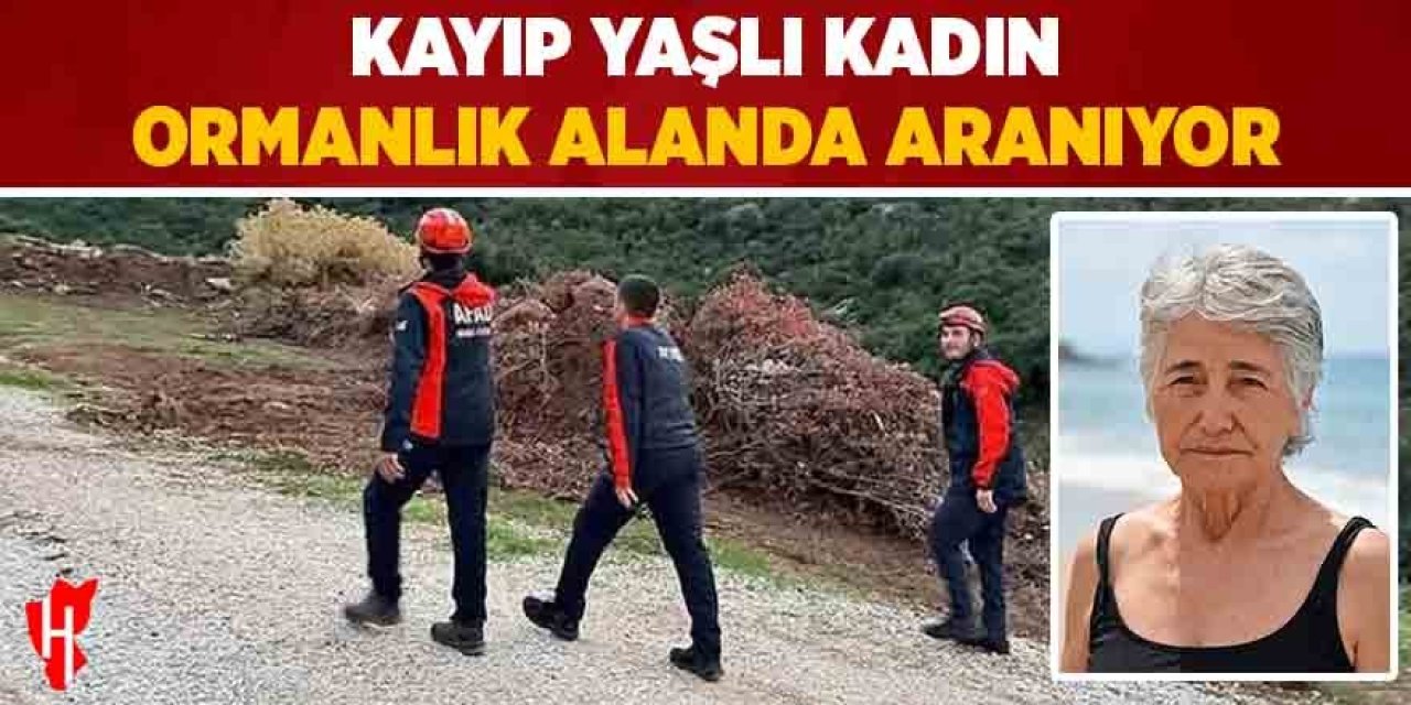 Kayıp yaşlı kadın ormanlık alanda aranıyor
