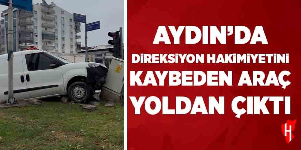 Aydın'da direksiyon hakimiyetini kaybeden araç yoldan çıktı