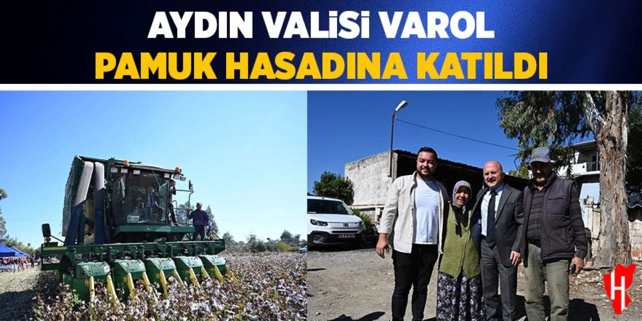 Aydın Valisi Varol pamuk hasadına katıldı