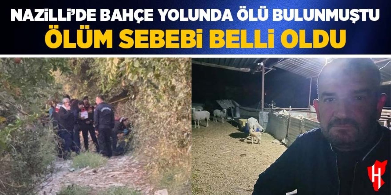Nazilli'de bahçe yolunda ölü bulunmuştu: Ölüm sebebi belli oldu