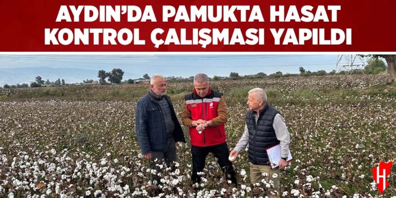 Aydın'da pamukta hasat kontrol çalışması yapıldı