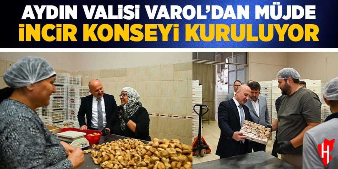 Aydın Valisi Varol'da müjde: İncir Konseyi kuruluyor