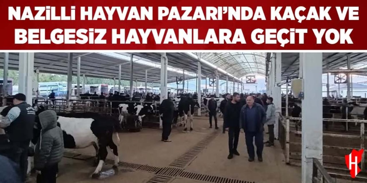 Nazilli Hayvan Pazarı’nda kaçak ve belgesiz hayvanlara geçit yok