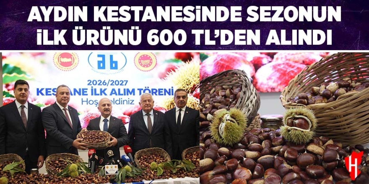 Aydın kestanesinde sezonun ilk ürünü 600 TL'den alındı