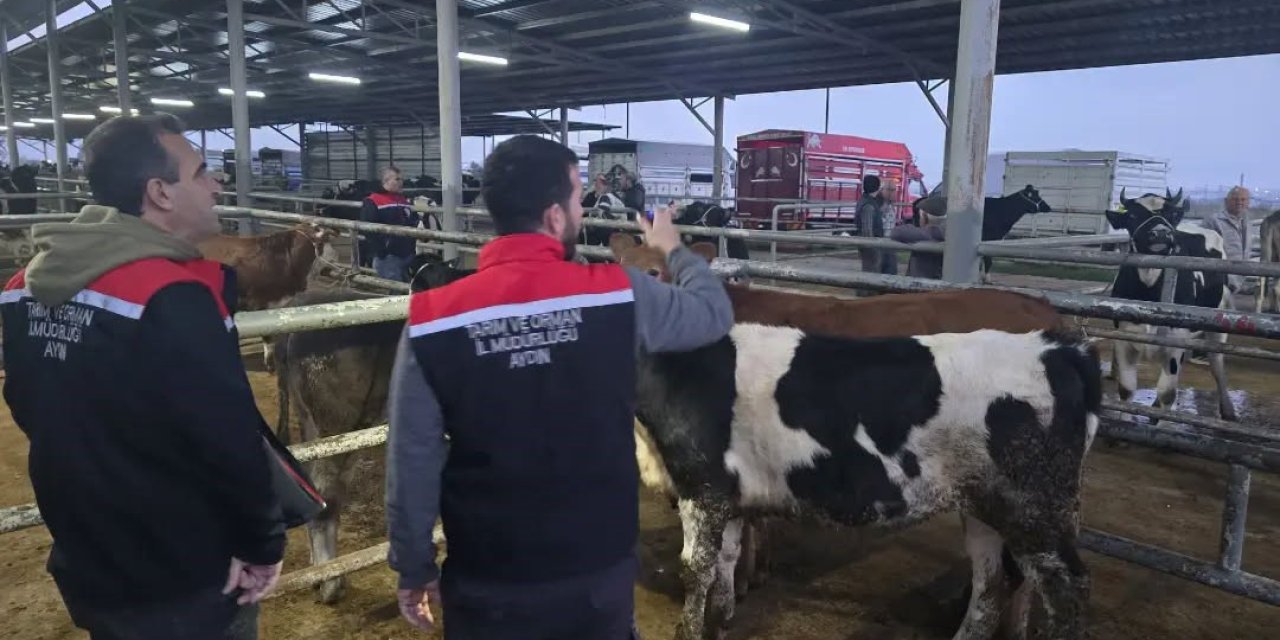 Hayvan pazarlarında sıkı denetim!