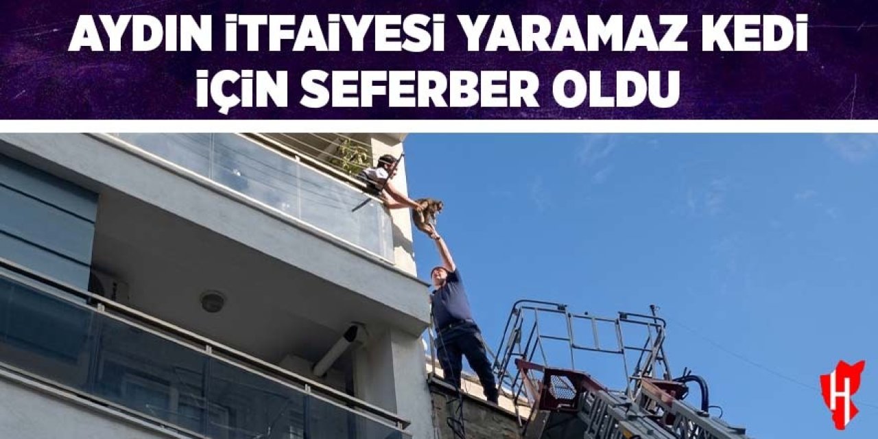 Aydın itfaiyesi yaramaz kedi için seferber oldu
