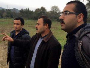 CHP’li Gençler Zeytin Katliamını Yerinde Gördü