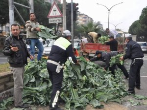 Nazilli Polisi ‘Karnıbahar’ Topladı