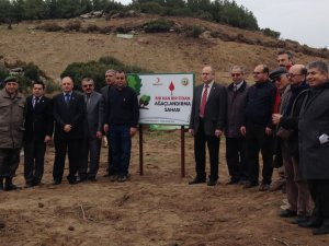 Yenipazar'da 10 Bin Kan Bağışına 10 Bin Fidan