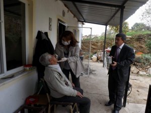 Aydın 'Yaşlı Çınarları'na sahip çıkıyor