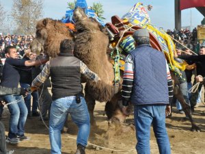 200 deve öğrencilere yardım için güreşti