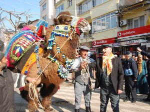 2015'in ilk Deve Güreşi İncirliova'da yapıldı